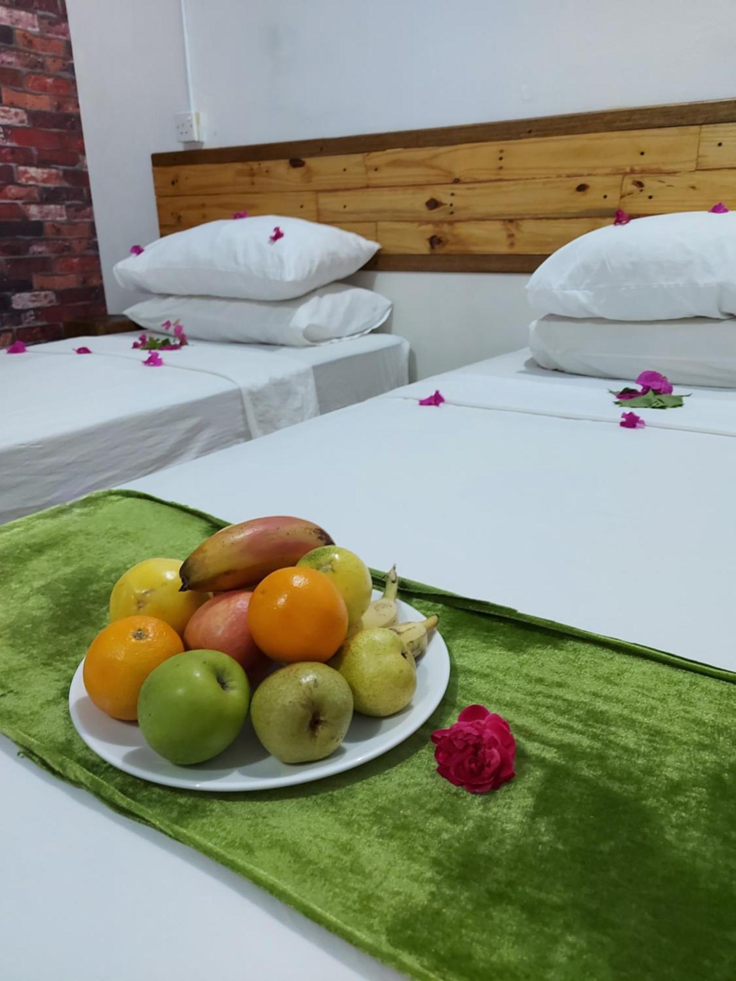 Veli Villa Тодду Номер фото
